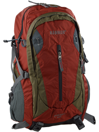 backpack FOREST LEAF (25 l)
